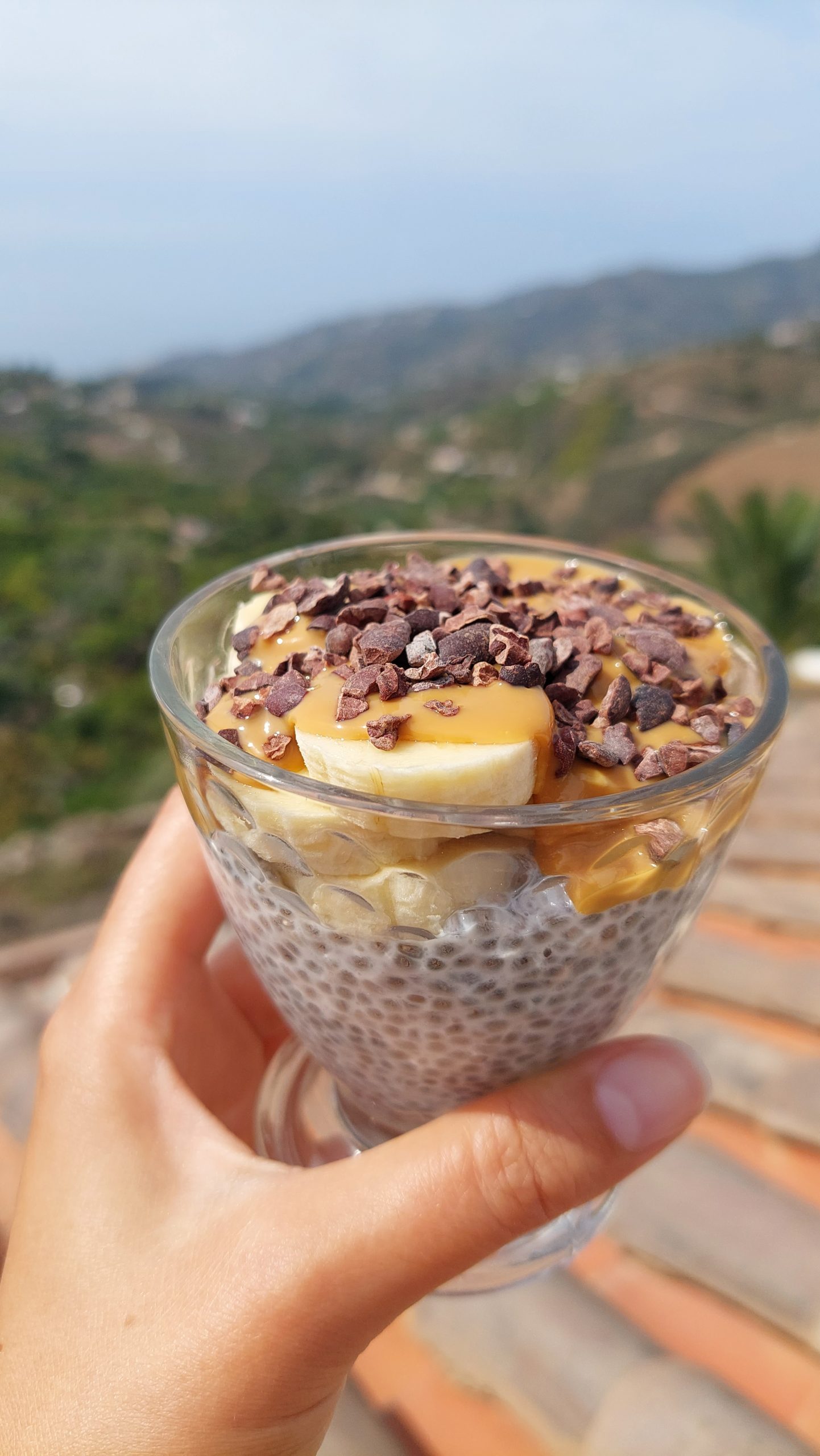 Chia Pudding with banana copy